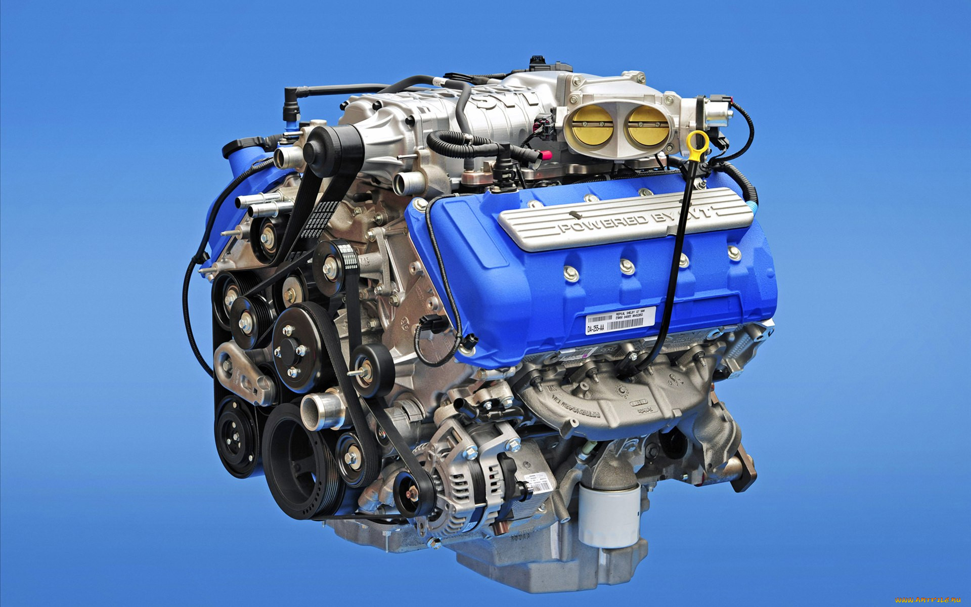 ford, shelby, gt500, 2013, , 